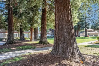 Photo #3: 41110980 Listing