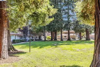 Photo #4: 41110980 Listing