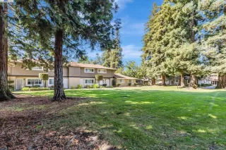 Photo #5: 41110980 Listing