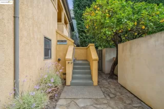 Photo #1: 41111037 Listing