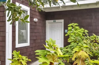 Photo #2: 41111059 Listing 