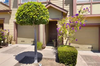 Photo #3: 41111101 Listing