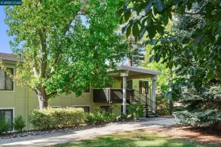 Photo #1: 41111279 Listing 