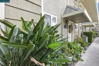 Photo #2: 41111381 Listing 