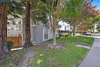 Photo #6: 41111604 Listing