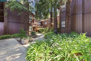 Photo #1: 41111626 Listing 