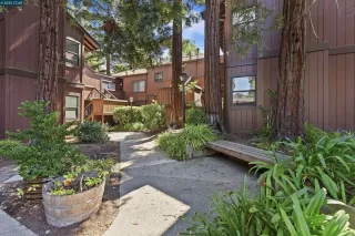 Photo #2: 41111626 Listing 