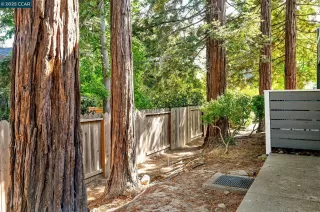 Photo #2: 41112112 Listing 