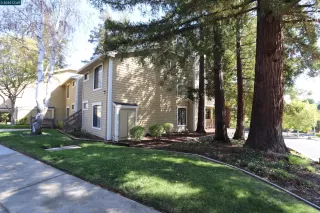 Photo #2: 41112207 Listing