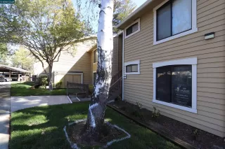 Photo #3: 41112207 Listing