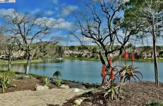 Photo #4: 41112252 Listing