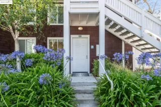 Photo #1: 41112593 Listing 