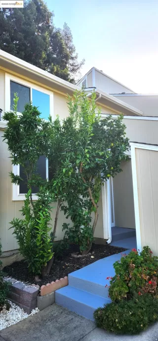 Photo #1: 41112710 Listing 