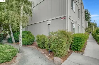 Photo #1: 41112829 Listing