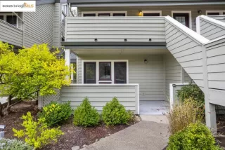 Photo #1: 41113058 Listing 