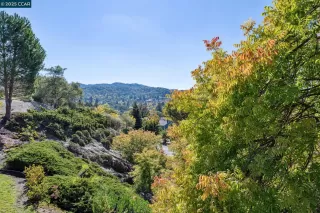 Photo #6: 41113072 Listing 