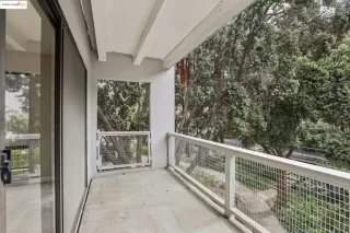 Photo #5: 41113133 Listing 