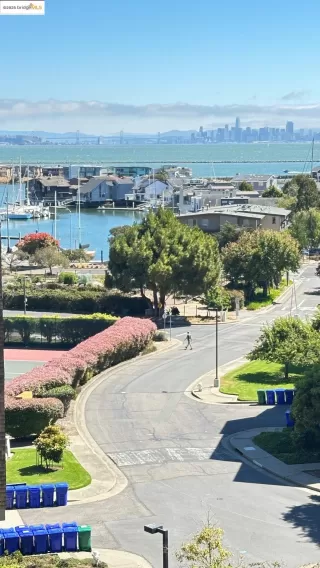 Photo #2: 41113143 Listing 