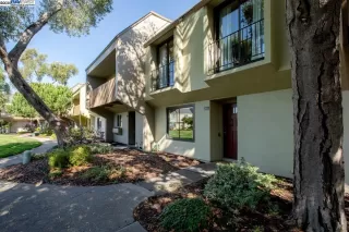 Photo #1: 41113191 Listing 