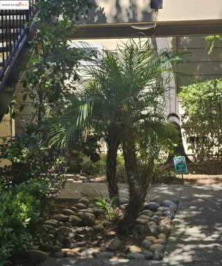 Photo #6: 41113257 Listing 