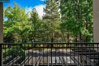 Photo #5: 41113322 Listing