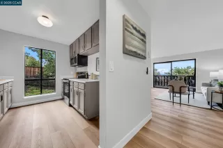 Photo #1: 41113451 Listing 