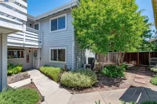 Photo #1: 41113693 Listing