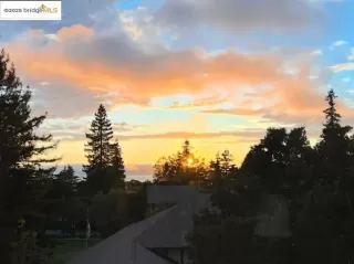 Photo #6: 41113749 Listing 