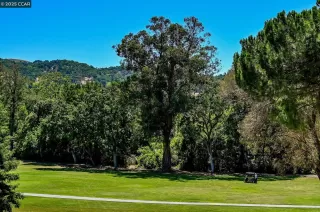 Photo #6: 41114104 Listing