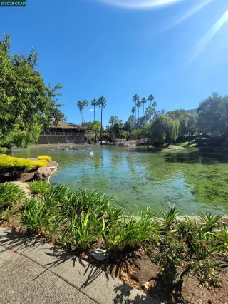 Photo #1: 41114193 Listing 