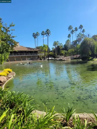 Photo #2: 41114193 Listing 