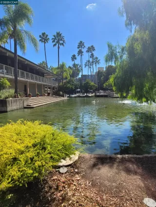 Photo #4: 41114193 Listing 