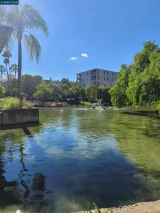 Photo #5: 41114193 Listing 