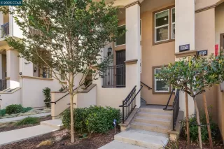 Photo #1: 41114580 Listing