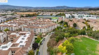 Photo #1: 41114945 Listing