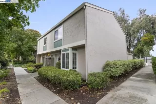 Photo #1: 41115034 Listing