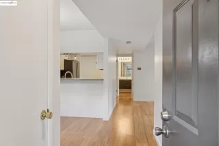 Photo #3: 41115147 Listing 