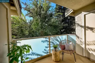 Photo #5: 41115241 Listing 