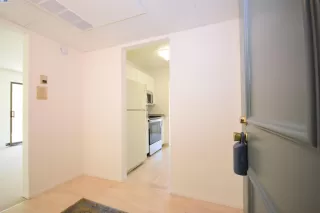 Photo #1: 41115340 Listing