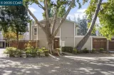 Primary Photo for MLS#: 41115477