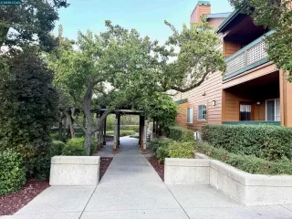 Photo #1: 41115526 Listing 