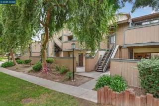 Primary Photo for MLS#: 41115585