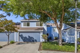 HAYWARD HILLS Condos for Sale Browse active condo listings in HAYWARD HILLS