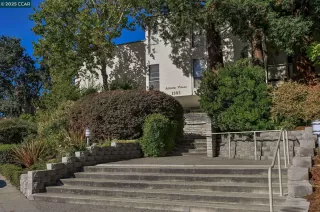 Photo #1: 41115739 Listing