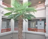 Primary Photo for MLS#: 41115882