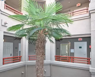 Primary Photo for MLS#: 41115882