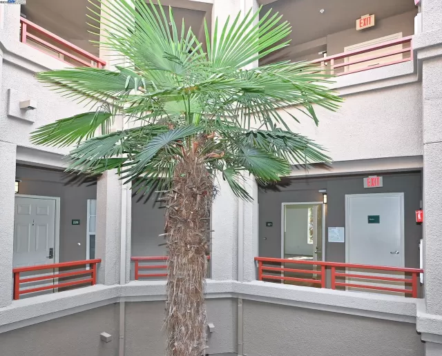 MLS: 41115882 Condo For Sale