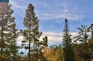 Photo #2: 41115929 Listing 