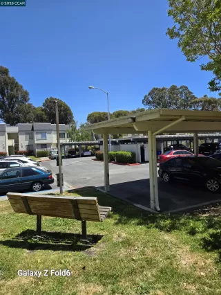 Photo #4: 41116067 Listing 