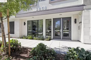 Photo #2: 41116137 Listing 